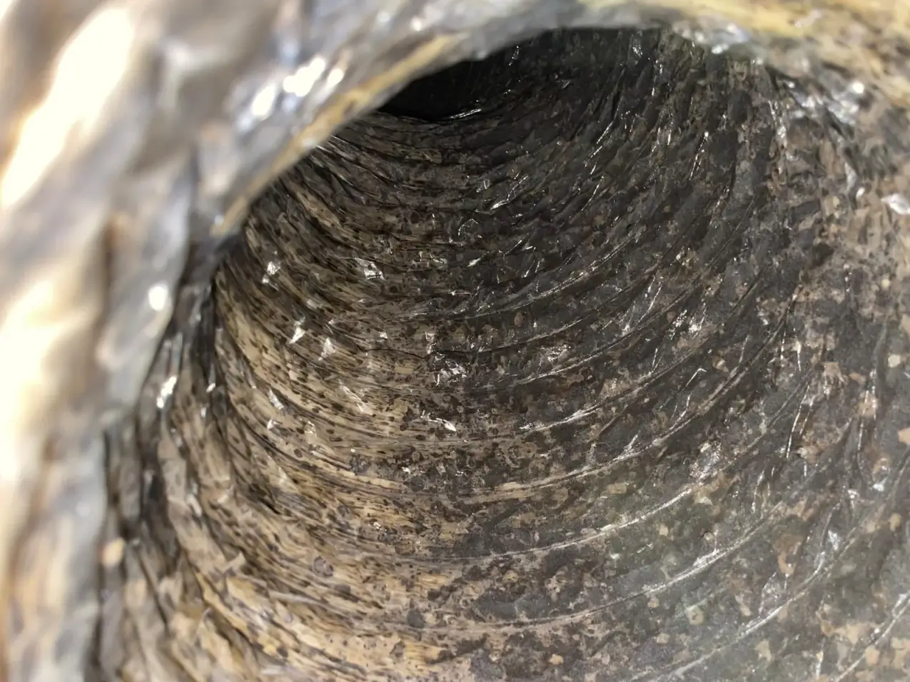 How Often Should Houston Homeowners Schedule Air Duct Cleaning? 3 interior air duct condition during a real inspection, real company service photo 3